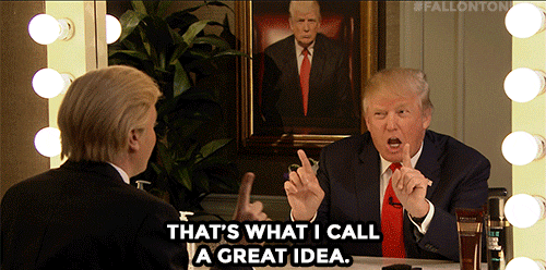 Donald Trump Great Idea GIF - Find & Share on GIPHY