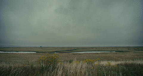 Fields GIF - Find & Share on GIPHY