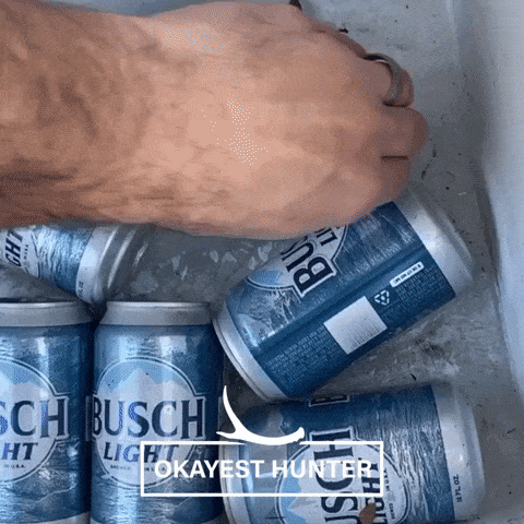giphy-downsized-large.gif