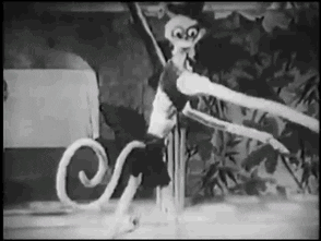 Dnešné menu: yoga so slnečnými lúčmi.