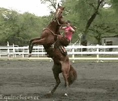 200.gif