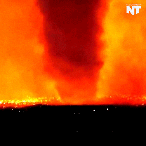 News Idaho GIF by NowThis Find & Share on GIPHY