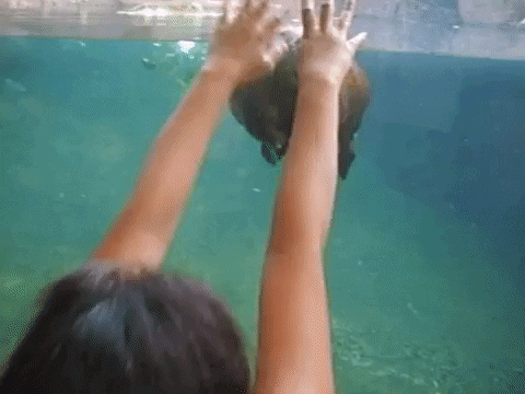 https://media.giphy.com/media/wvoCtXRj3fiaQ/giphy.gif