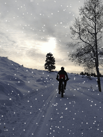 Bike riding in the snow