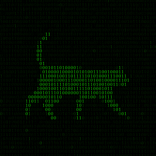 Cat walking in Matrix