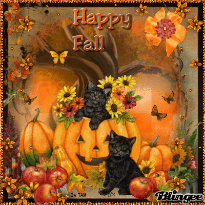 Image result for autumn cat gif images