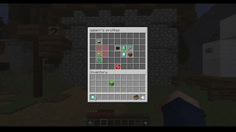 Player Profiles 自定义GUI视频展示