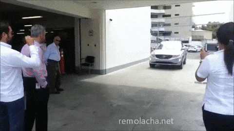 giphy-downsized-large.gif