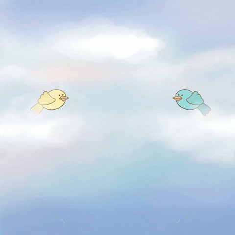 two birds in sky 