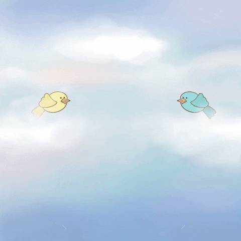 two birds in sky