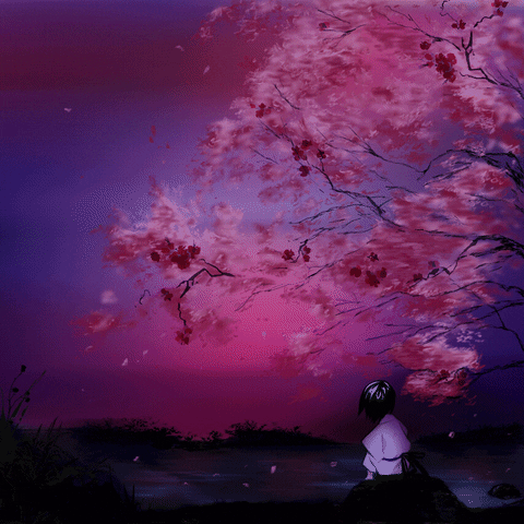 Sakura GIF - Find & Share on GIPHY