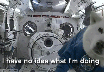 A dog is floating in a spaceship while wearing an astronaut suit. The caption of the image is "I have no idea what I'm doing"