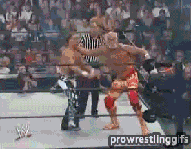 Shawn Michaels GIF - Find & Share on GIPHY