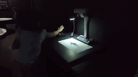 Animated GIF