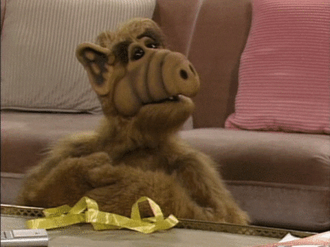 Image result for ALF GIF