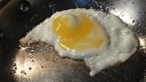 Image result for fried eggs gif