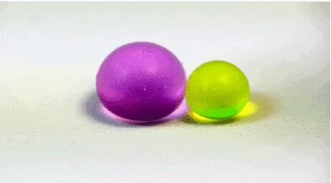 giphy.gif