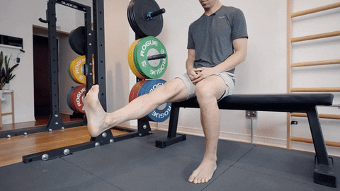 Extended Knee Ankle Plantar-Dorsiflexion - knee arthritis