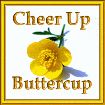 musical card with fill me up buttercup