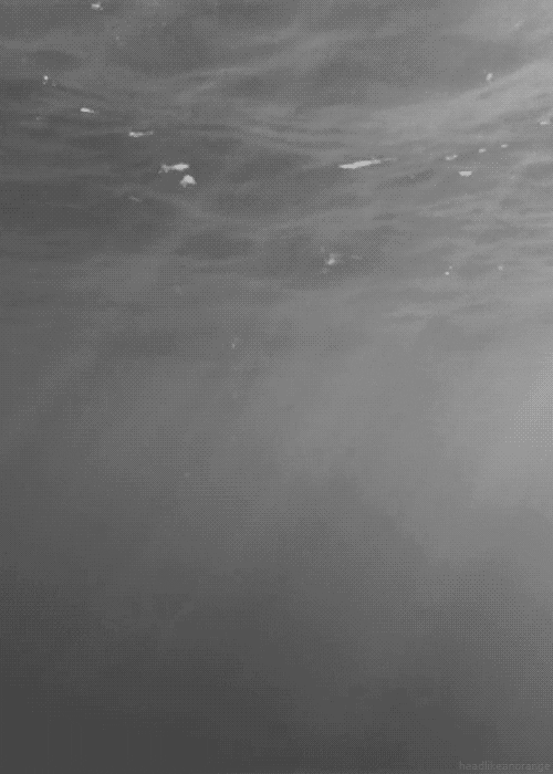 Black And White Water GIF Find & Share on GIPHY