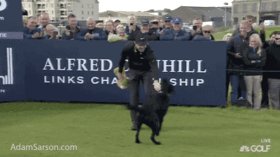 Rory Mcilroy Dog GIF - Find & Share on GIPHY