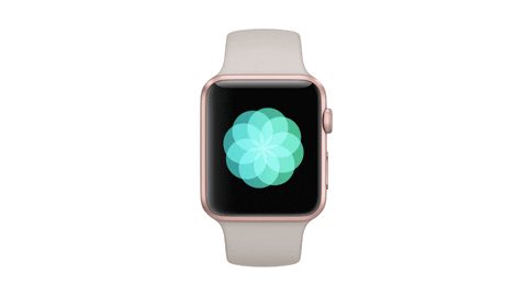 Apple Watch GIF - Find & Share on GIPHY