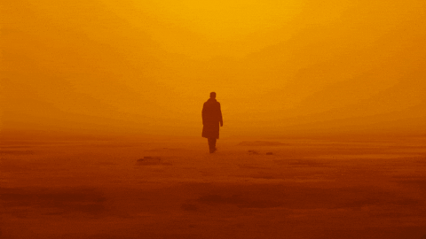 Blade Runner Desert Walk