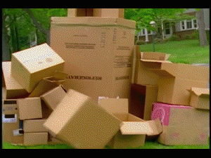 Box GIF - Find & Share on GIPHY