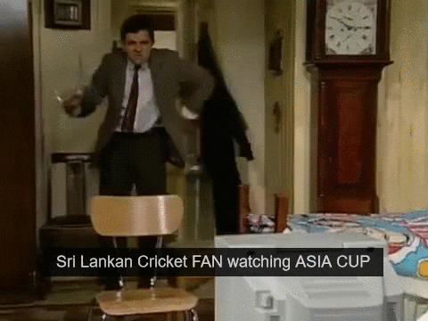 giphy.gif