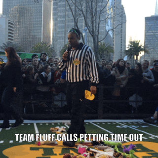 Animal Planet Puppy Bowl 2016 GIF by GIPHY CAM