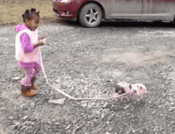 animais para crianças- menina passeia com porquinho