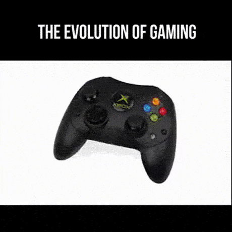 giphy.gif
