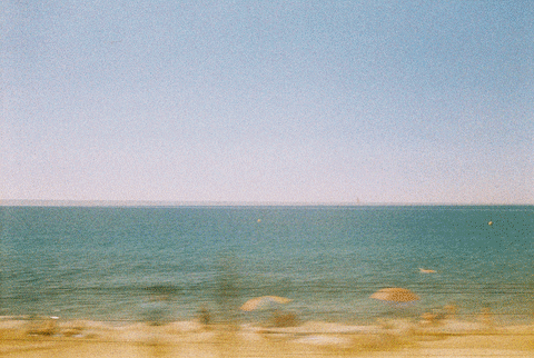 Train 35Mm GIF by Blanca Viñas