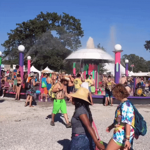 Bonnaroo 2016 GIF by Bonnaroo Music and Arts Festival