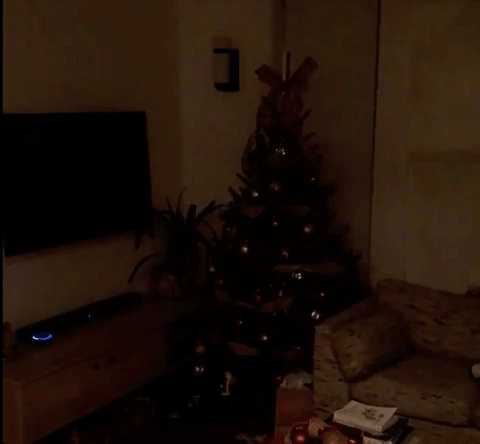 :christmas_tree: Alexa, turn on the Christmas lights