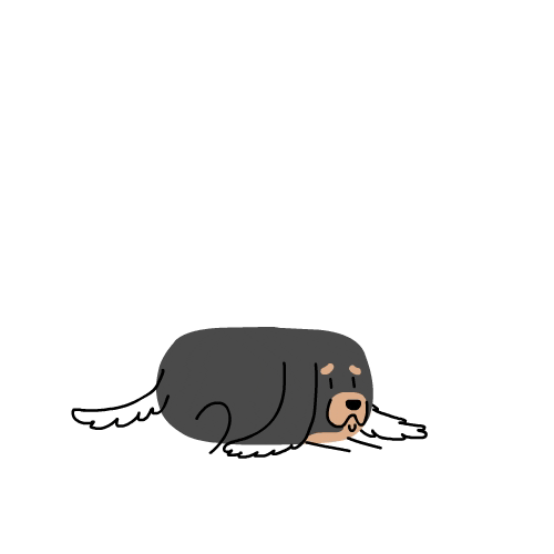 Dog Ears GIF by CsaK Find & Share on GIPHY