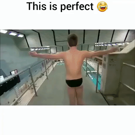 This Is Perfect Dive in funny gifs