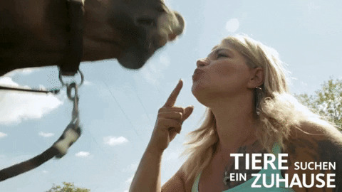 Kuss Schicken Gifs Get The Best Gif On Giphy