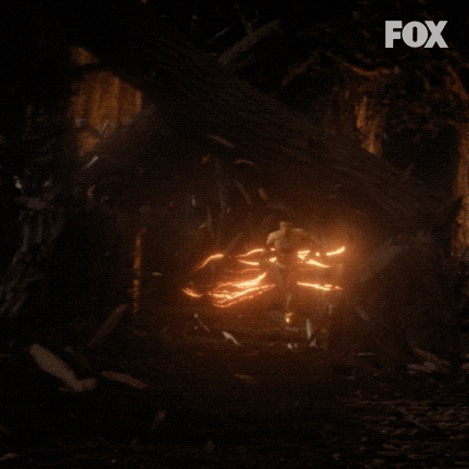 Dc Comics Fox GIF