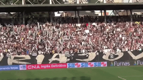 Botafogo Futebol E Regatas GIF by Botafogo