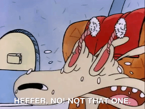 rocko modern life gordon rocko modern life gordon