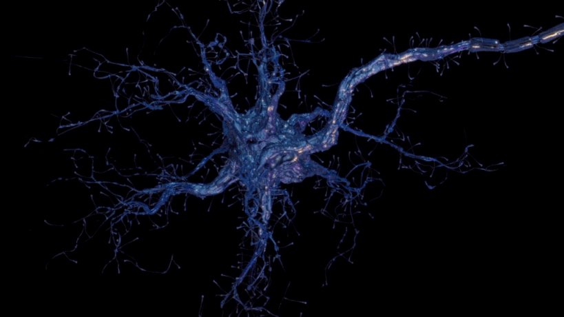 neuron animated GIF