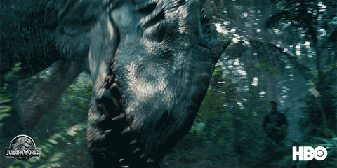 legend of dinosaurs and monster birds gif