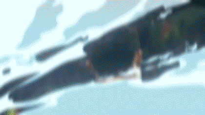 giphy.gif?cid=790b7611d1a6f193e003f5d556