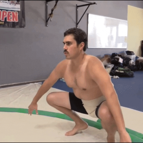 Wrestle Big Cat GIF by Barstool Sports