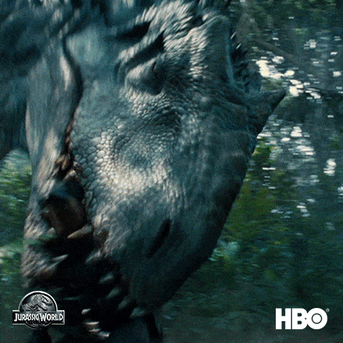 HBO GIF Find & Share on GIPHY