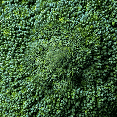 Mesmerising broccoli image on repeat