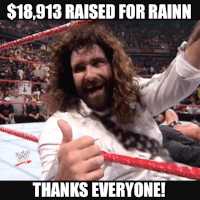 Mick Foley Hell in a Cell