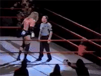 WWE Referee in wwe gifs