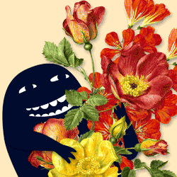 Te gustan las flores si es así Cúal
